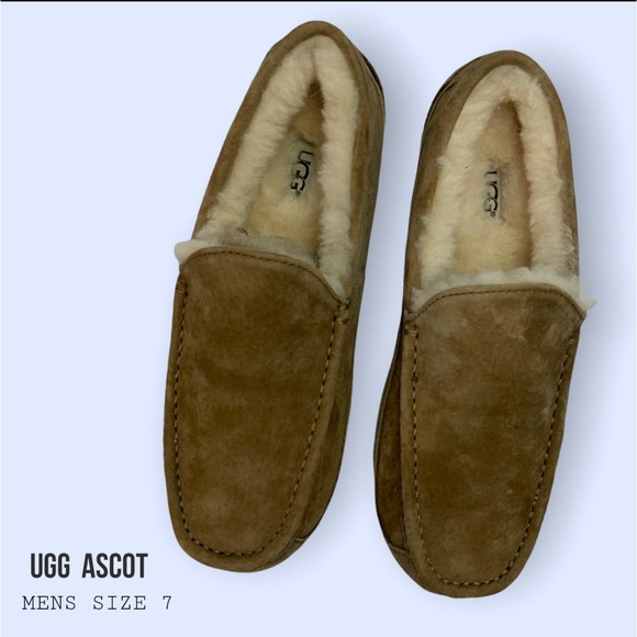 UGG ascot main image 5